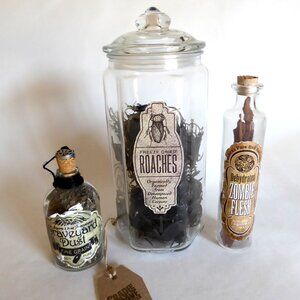 NEW GLASS APOTHECARY BOTTLES ROACHES ZOMBIE FLESH ODDITY PROP HARRY POTTER